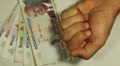 video clip 8681699
