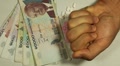 video clip 8681863