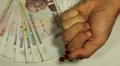 video clip 8681913