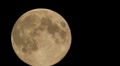 video clip 8685331