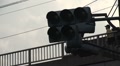 video clip 8731519