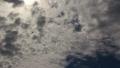 video clip 8761435