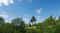 Summer landscape Video