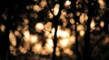 video clip 8826451