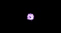 Violet dot sparkle sprite static center screen w alpha channel Video