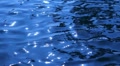 video clip 8831409