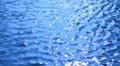 video clip 8831591