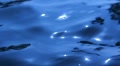 video clip 8832249