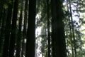 video clip 8837165