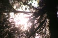 video clip 8837189