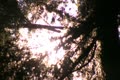 video clip 8837195