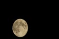 video clip 8837901