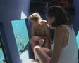 video clip 8839737