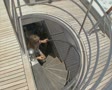 video clip 8839853