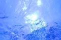 video clip 8840075