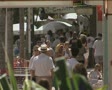 video clip 8840145