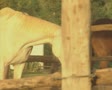video clip 8849251