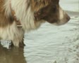 video clip 8849351