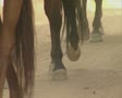 video clip 8849555