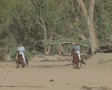 video clip 8849645