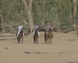 video clip 8849683