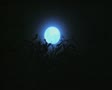 video clip 8849695