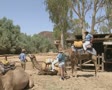 video clip 8849921