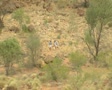 video clip 8850321