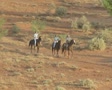 video clip 8850657