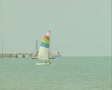 video clip 8850781