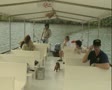 video clip 8850921