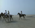 Riding horses over a beach Video