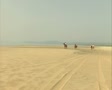 video clip 8851029