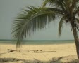 video clip 8851193