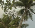 video clip 8851197