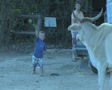 video clip 8851301