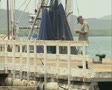 video clip 8851527