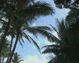 video clip 8852575