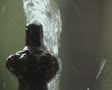 video clip 8852595