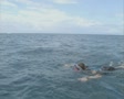 video clip 8852825