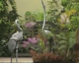 video clip 8852903