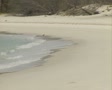 video clip 8853073
