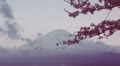 video clip 8874073