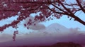 video clip 8876645