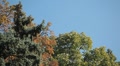 video clip 8906957