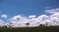 video clip 8911257