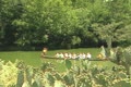 video clip 8914509