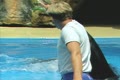 video clip 8914811