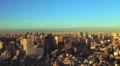 video clip 8915733