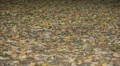video clip 8920789